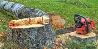 Reliable Arlington, NY Tree Removal and Landscaping Services Solutions